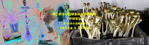 2c-b Билибино