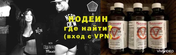 крисы Беслан