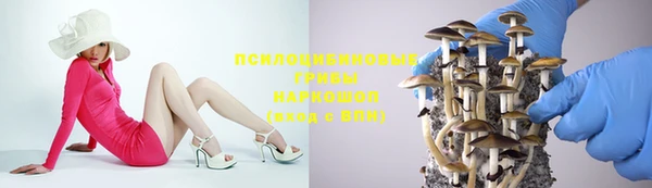 крисы Беслан