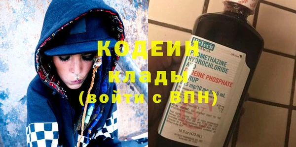 шишки Коряжма